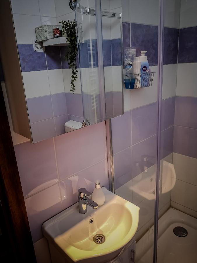 Star Apartman Brzece Kopaonik المظهر الخارجي الصورة