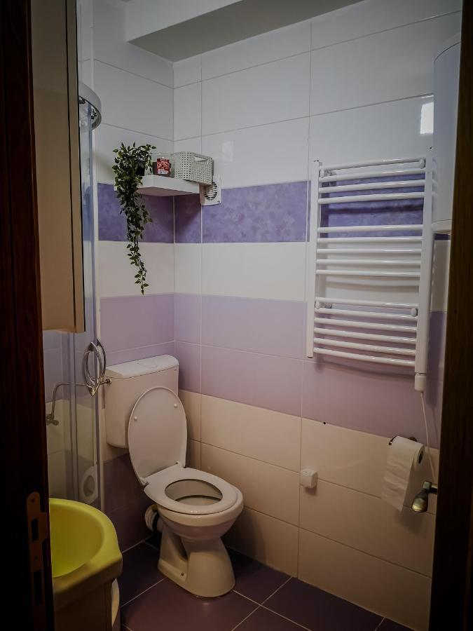 Star Apartman Brzece Kopaonik المظهر الخارجي الصورة
